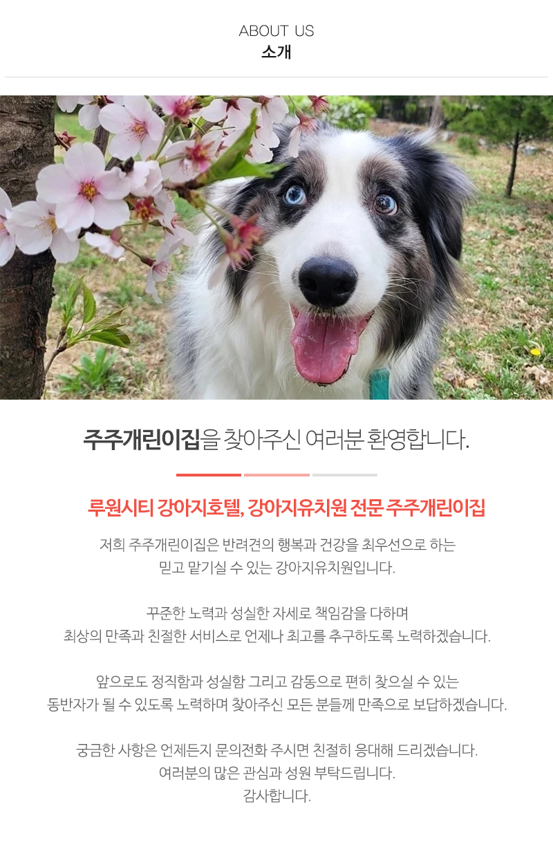 주주개린이집_내용